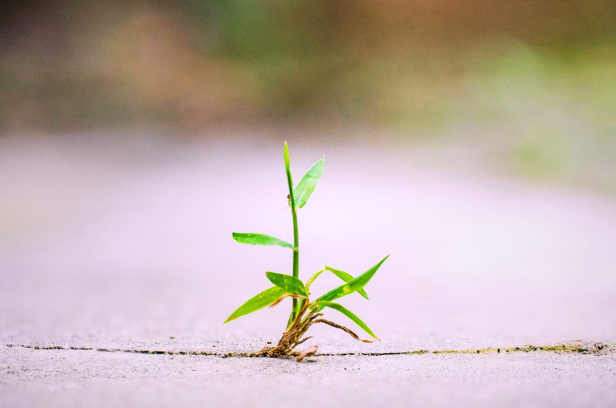 The Power of Small: 29 tiny changes leading to a more positive you