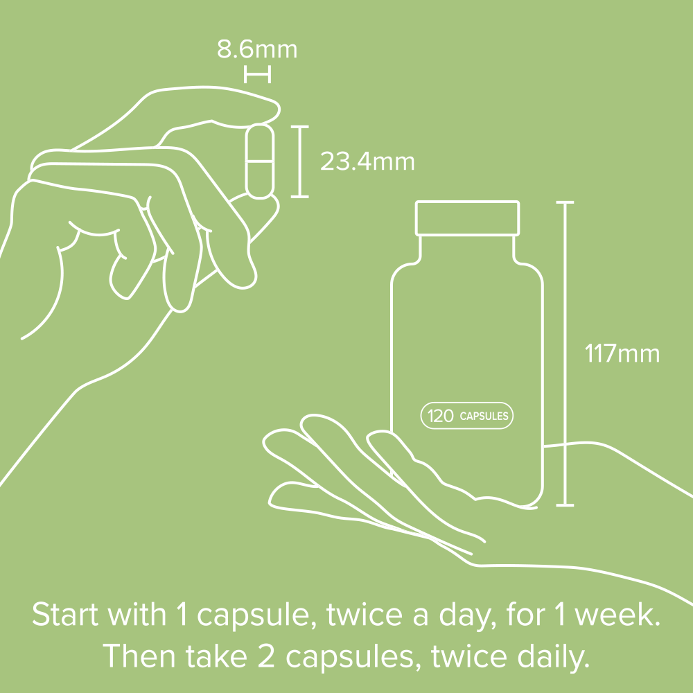 Gut Health Capsule Size - Award-Winning Supplement - Positive Science People